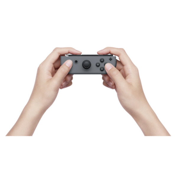 Nintendo Switch Grey (new Version 2019)